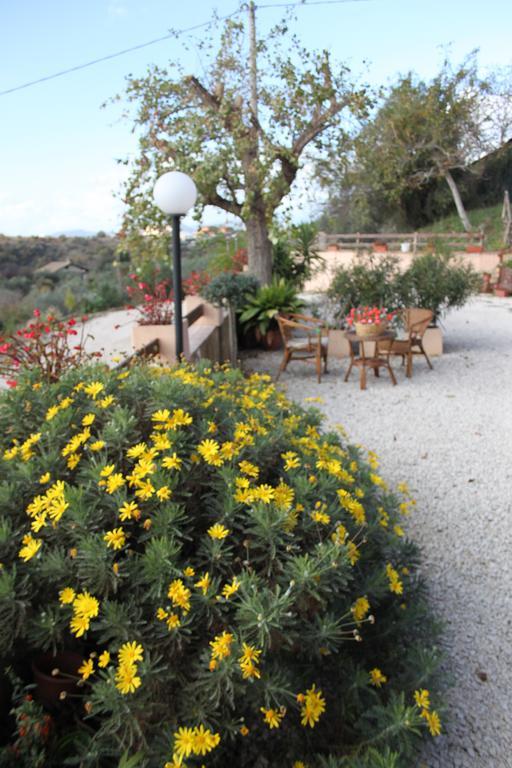 Il Pioppo Bed & Breakfast Veroli ภายนอก รูปภาพ
